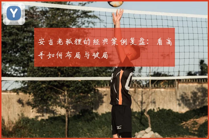 安吉老狐狸的经典案例复盘：看高手如何布局与破局
