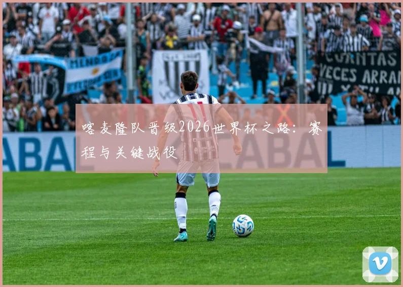 喀麦隆队晋级2026世界杯之路：赛程与关键战役